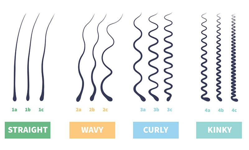 انواع مو در نژاد انسان