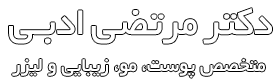 لوگو